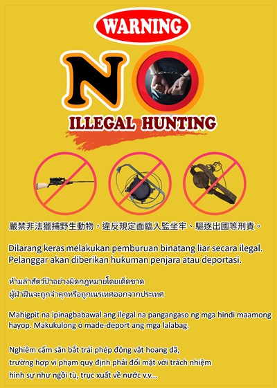 嚴禁非法獵捕野生動物