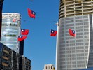 旗海飄揚
